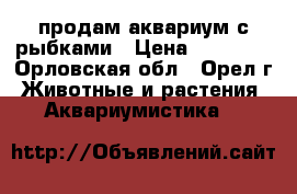 продам аквариум с рыбками › Цена ­ 12 000 - Орловская обл., Орел г. Животные и растения » Аквариумистика   
